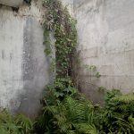 Over Kredit Panorama Kemang