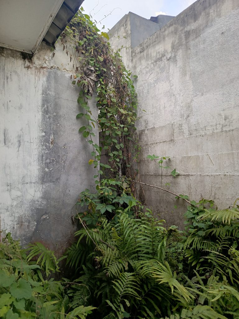 Over Kredit Panorama Kemang