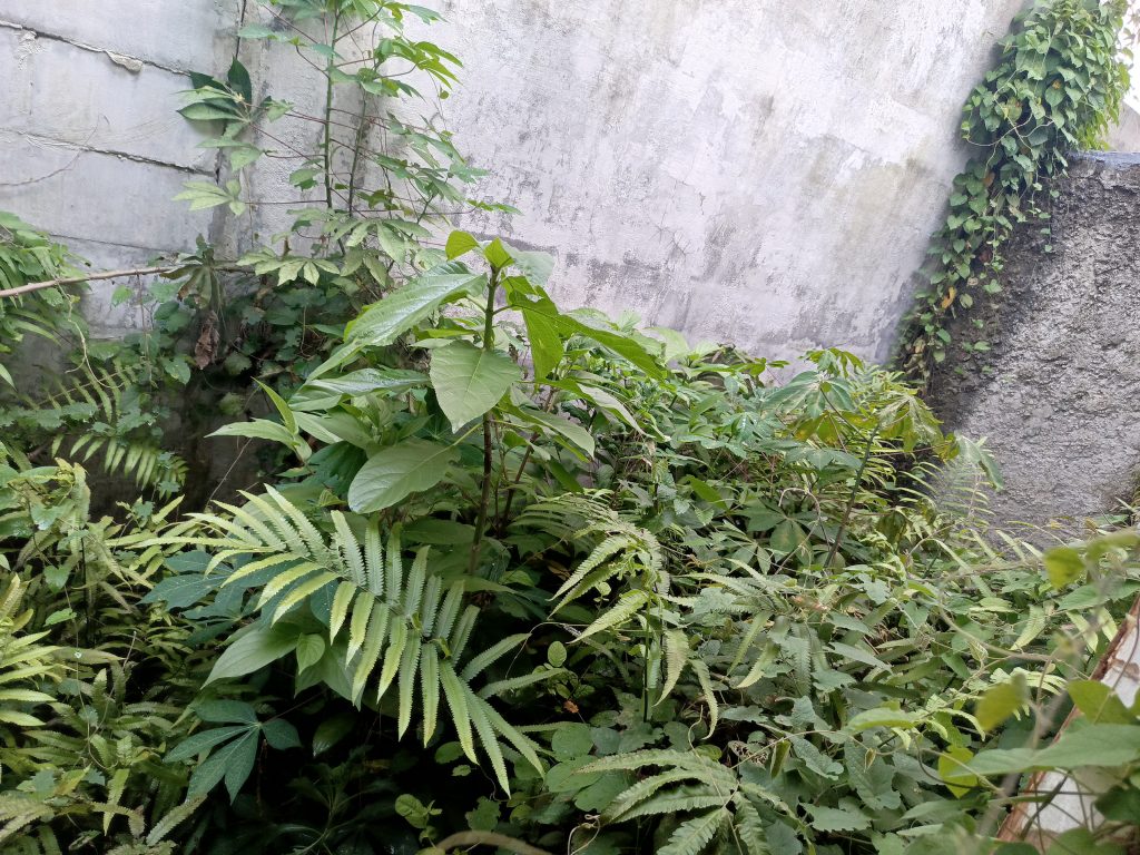 Over Kredit Panorama Kemang