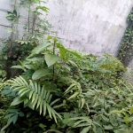 Over Kredit Panorama Kemang