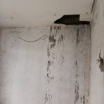 Over Kredit Panorama Kemang